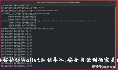 全面解析tpWallet私钥导入：安全与便利的完美结合