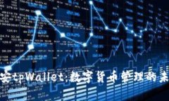 探索币安tpWallet：数字货币