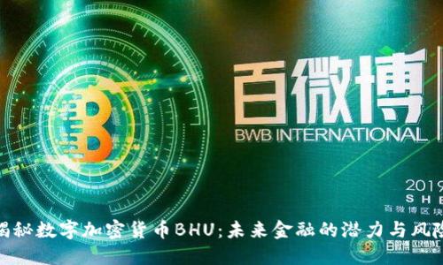 揭秘数字加密货币BHU：未来金融的潜力与风险