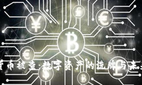 加密货币被查：数字资产的洗牌与未来展望