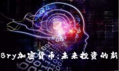 探索Bry加密货币：未来投