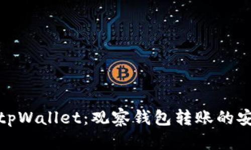 深入了解tpWallet：观察钱包转账的安全与便捷