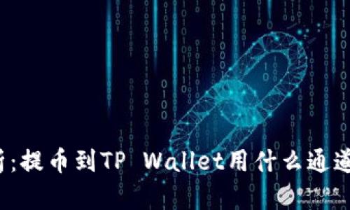 全面解析：提币到TP Wallet用什么通道最安全？