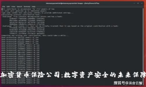 加密货币保险公司：数字资产安全的未来保障