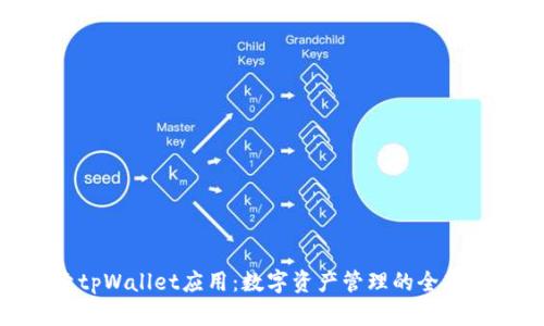 探索tpWallet应用：数字资产管理的全新体验