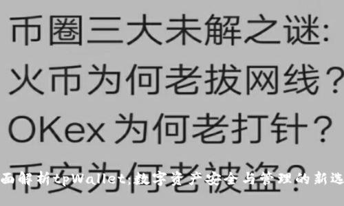 全面解析tpWallet：数字资产安全与管理的新选择