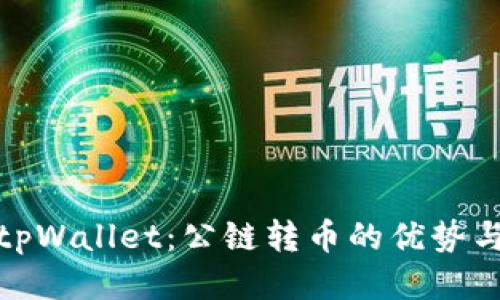 探索tpWallet：公链转币的优势与挑战