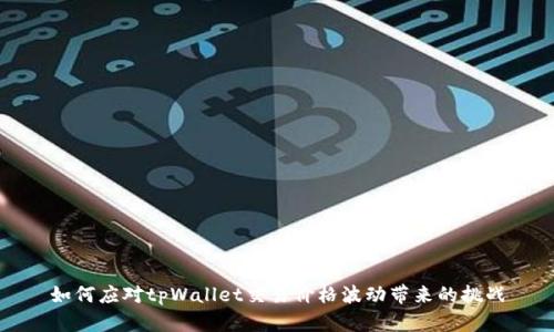 如何应对tpWallet交易价格波动带来的挑战