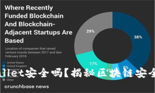 新版tpWallet安全吗？揭秘区块链安全的最前沿