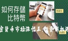 2020 年加密货币市场涨幅王：投资新机遇与风险评