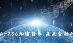 揭秘SHA-256加密货币：未来金融的护航者