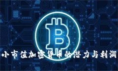探索小市值加密货币的潜力与利润机会