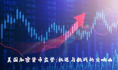 美国加密货币监管：机遇与挑战的交响曲