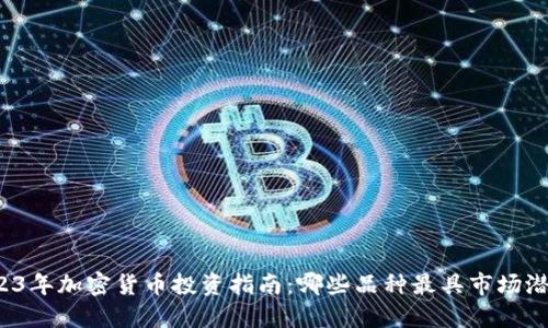 2023年加密货币投资指南：哪些品种最具市场潜力？