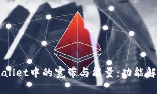 深入了解tpWallet中的宽带与能量：功能解析与实际应用