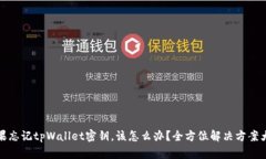 如果忘记tpWallet密钥，该怎么办？全方位解决方案