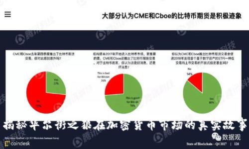 揭秘华尔街之狼在加密货币市场的真实故事