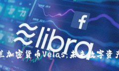 揭秘乌克兰加密货币Vela