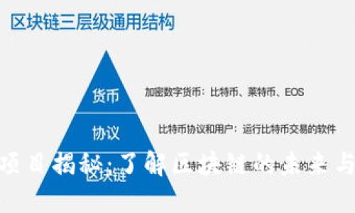 加密货币项目揭秘：了解区块链的未来与投资机会