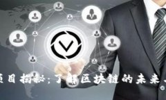 加密货币项目揭秘：了解