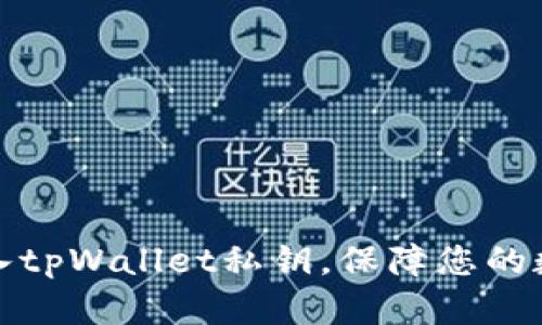 如何高效导入tpWallet私钥，保障您的数字资产安全