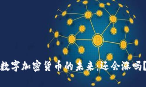 数字加密货币的未来：还会涨吗？