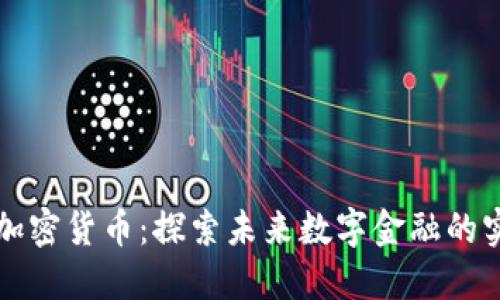 “威斯汀加密货币：探索未来数字金融的实用价值”