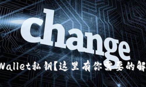 忘记tpWallet私钥？这里有你需要的解决方案！