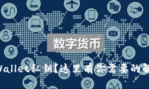 忘记tpWallet私钥？这里有你需要的解决方案！