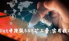 如何在tpWallet中降低BNB矿工