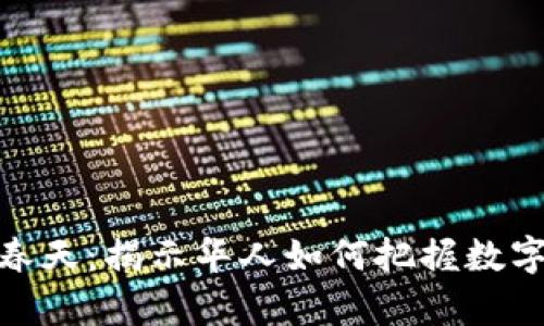 加密货币的春天：揭示华人如何把握数字财富新机遇
