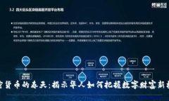 加密货币的春天：揭示华