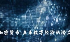 Morty加密货币：未来数字经济的潜力与机遇