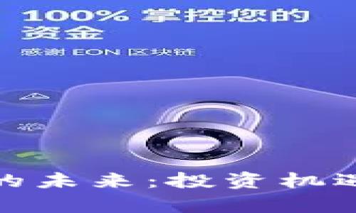 : 加密货币的未来：投资机遇与挑战分析