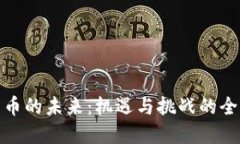 加密货币的未来：机遇与挑战的全面探讨