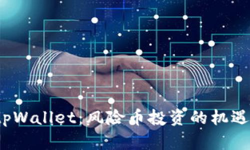  探索tpWallet：风险币投资的机遇与挑战