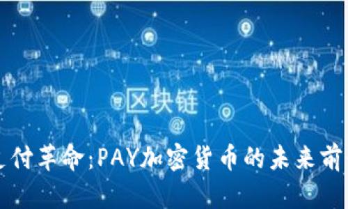 支付革命:PAY加密货币的未来前景