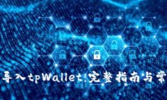 如何将货币导入tpWallet：完