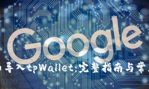 如何将货币导入tpWallet：完整指南与常见问题解答