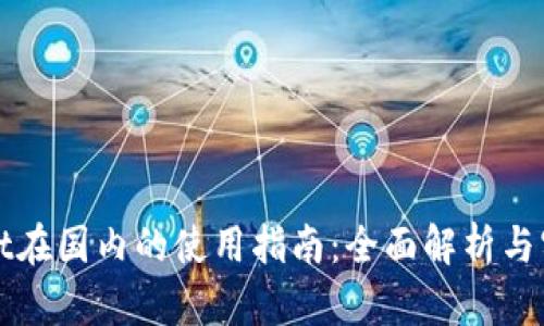 tpWallet在国内的使用指南：全面解析与实用技巧