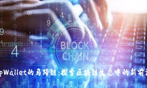 tpWallet的马蹄链:探索区块链生态中的新前沿