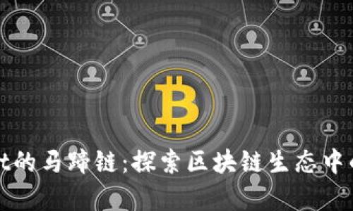 tpWallet的马蹄链:探索区块链生态中的新前沿