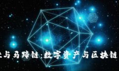 tpWallet与马蹄链：数字资产