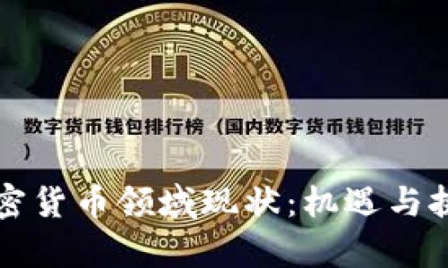 美国加密货币领域现状：机遇与挑战并存