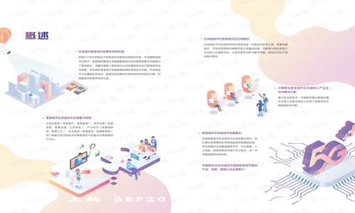 全面解析 TP 上的 BEP20 钱包：如何使用与安全性分析