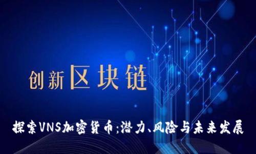 探索VNS加密货币：潜力、风险与未来发展