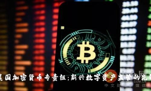 美国加密货币专责组：新兴数字资产监管的先锋