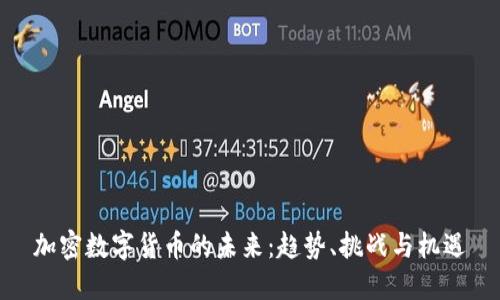 加密数字货币的未来：趋势、挑战与机遇