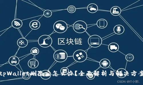 tpWallet删除后怎么办？全面解析与解决方案