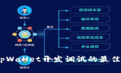 全面解析：tpWallet开发调试的最佳实践与技巧